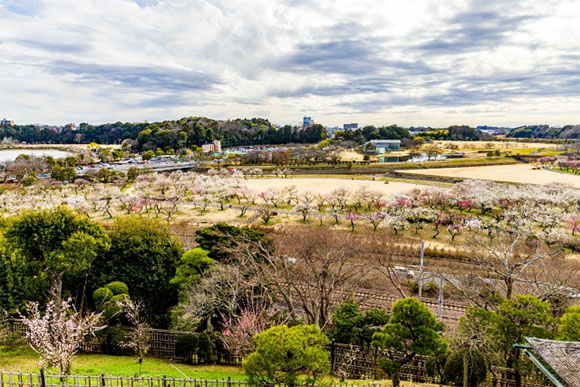 【目的別】不動産のプロが選ぶ!水戸市の住みやすさエリアランキング