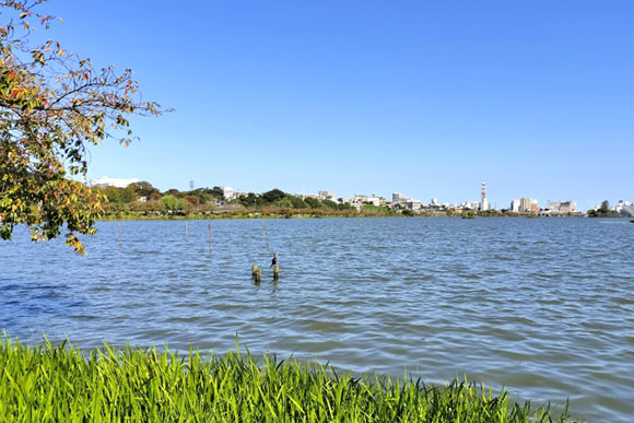 気になる水戸市の治安と災害への備え